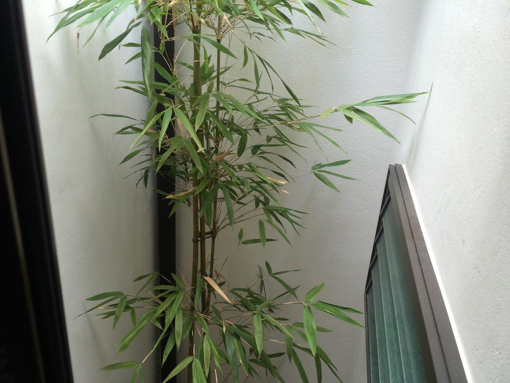 Hananoya Bettei Kyoto Luaran gambar